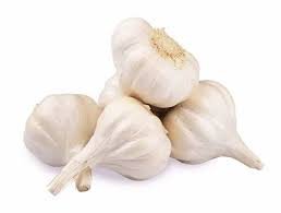Fresh White Garlic